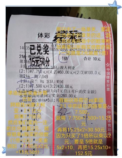 深入探讨世界杯网上投注是否真的靠谱